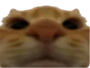 :Chatzoom: