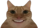 :Chat_sourire: