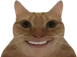 :Chat_sourire: