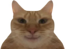 :Chat_narquois: