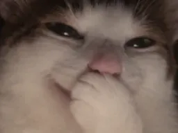 :Chat_moqueur: