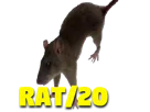 :rat_20: