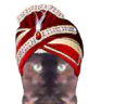 :sikh: