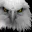 Photo de profil de Ravenclaw