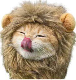 :ChatLion: