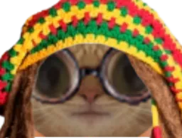 :Krist_lunettes_: