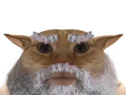 :sage_chat: