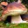Photo de profil de Eric_cartman