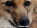 :tonyzoom1: