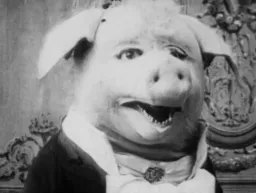 :cochon_gif: