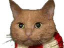 :Chat-Triss5: