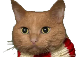 :Chat-Triss5: