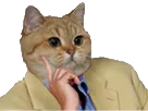 :chat_perplexe:
