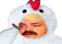 :Poulet_costume: