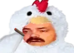 :Poulet_costume: