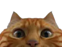 :tichat: