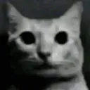 :chat_troma: