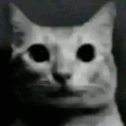:chat_troma: