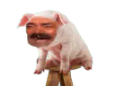 :Cochon_Risitas_: