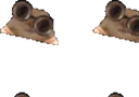 :chat_lunette_infini: