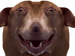 :teddigigatarax: