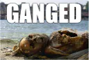 :cadavre_gange: