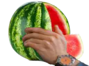 :pesteque: