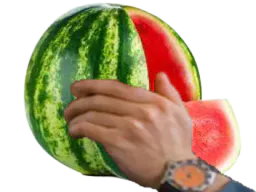 :pesteque: