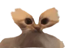 :chatmegachelou: