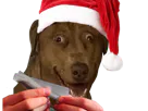 :Teddi-weednoel: