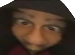 :ImmondiceZinzin: