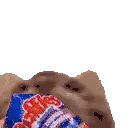 :Chat_nom: