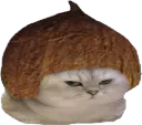 :chatbrushingcoco: