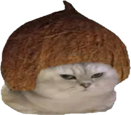 :chatbrushingcoco: