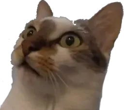 :chatkhey1:
