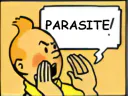 :tintinparasite: