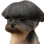 Photo de profil de Proxy