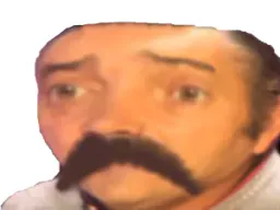 :risitas_triste_mous: