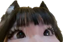 :Eyescat: