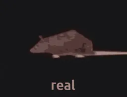 :real: