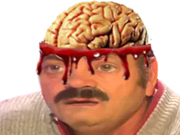 :risitas_cerveau: