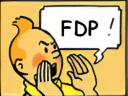 :tintinfdp: