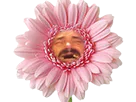 :Issou_fleur3: