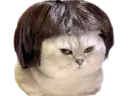 :chatbrushing: