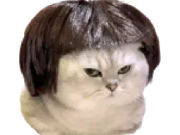 :chatbrushing:
