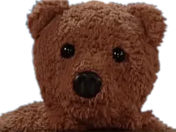 :nounours5: