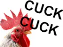 :cuck: