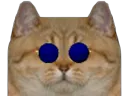 :sodium_notready:
