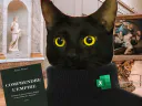 :sisyphechat2: