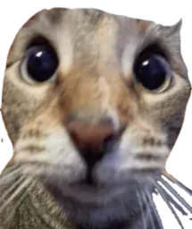 :Chatsurpri: